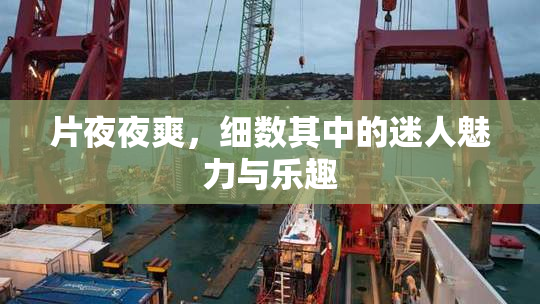 片夜夜爽，细数其中的迷人魅力与乐趣