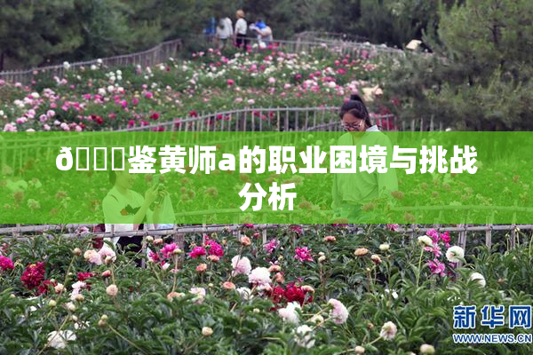 🔞鉴黄师a的职业困境与挑战分析