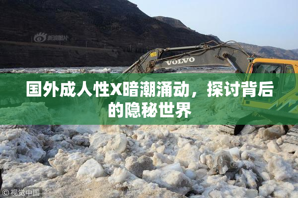 国外成人性X暗潮涌动，探讨背后的隐秘世界