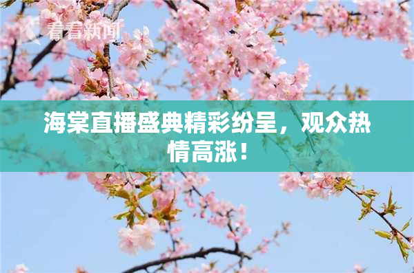 海棠直播盛典精彩纷呈，观众热情高涨！