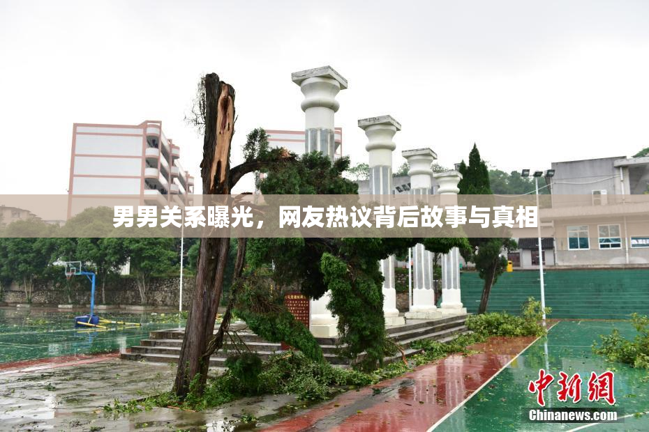 男男关系曝光，网友热议背后故事与真相