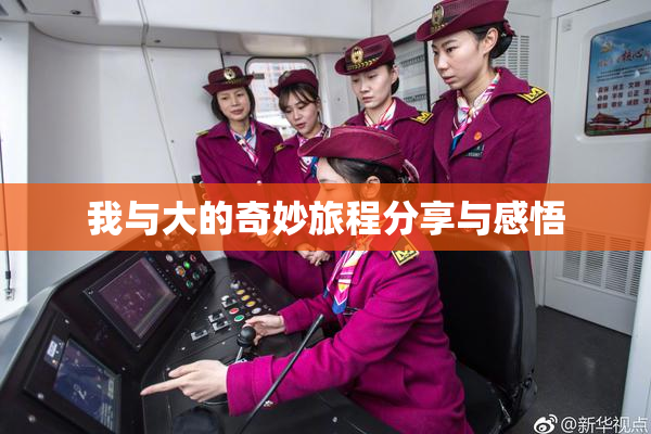 我与大的奇妙旅程分享与感悟