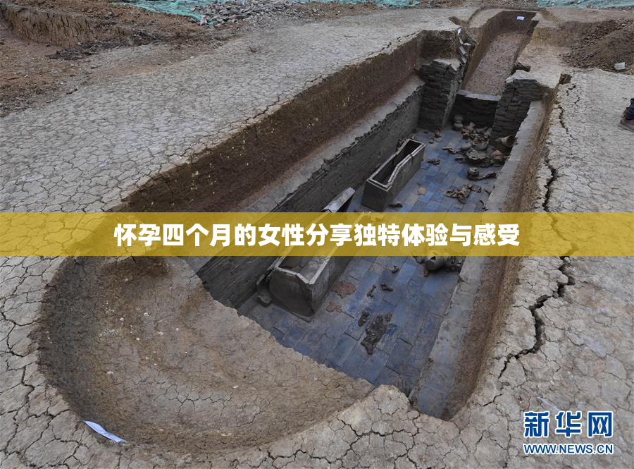 怀孕四个月的女性分享独特体验与感受