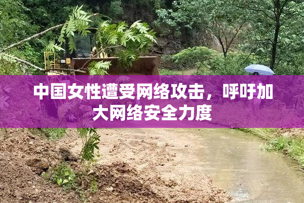 中国女性遭受网络攻击，呼吁加大网络安全力度