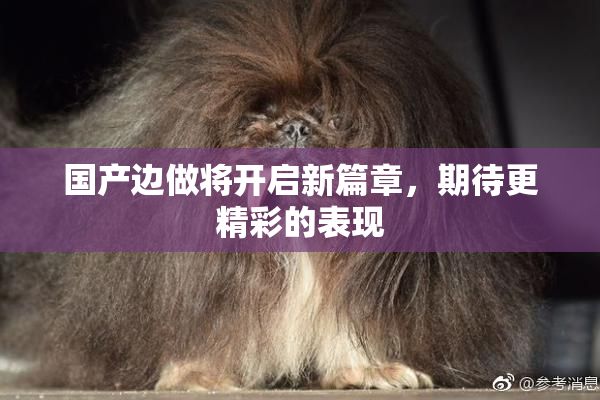 国产边做将开启新篇章，期待更精彩的表现