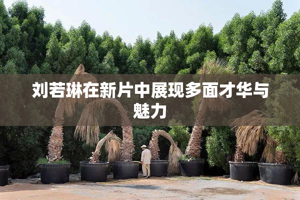 刘若琳在新片中展现多面才华与魅力