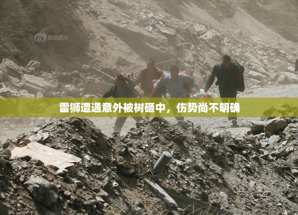 雷狮遭遇意外被树砸中，伤势尚不明确
