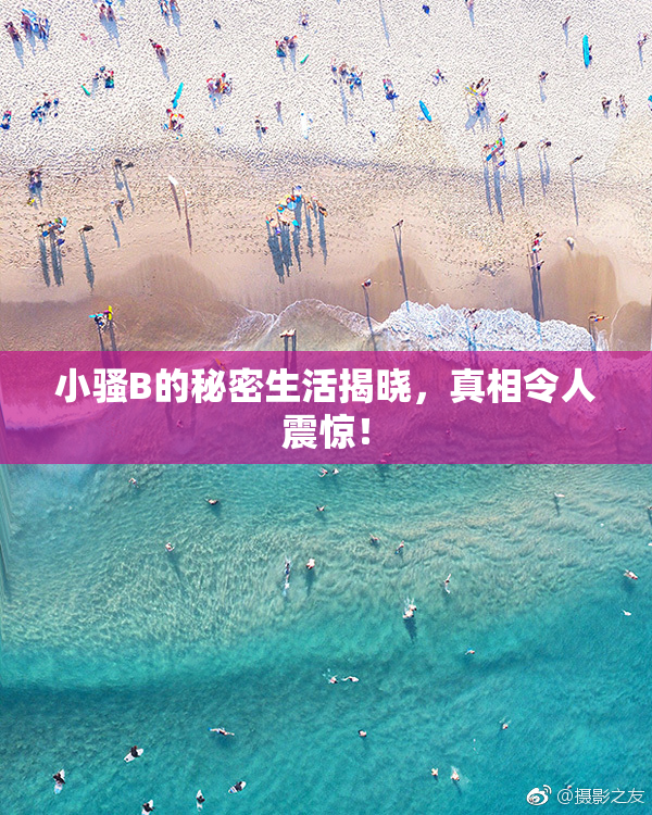 小骚B的秘密生活揭晓，真相令人震惊！