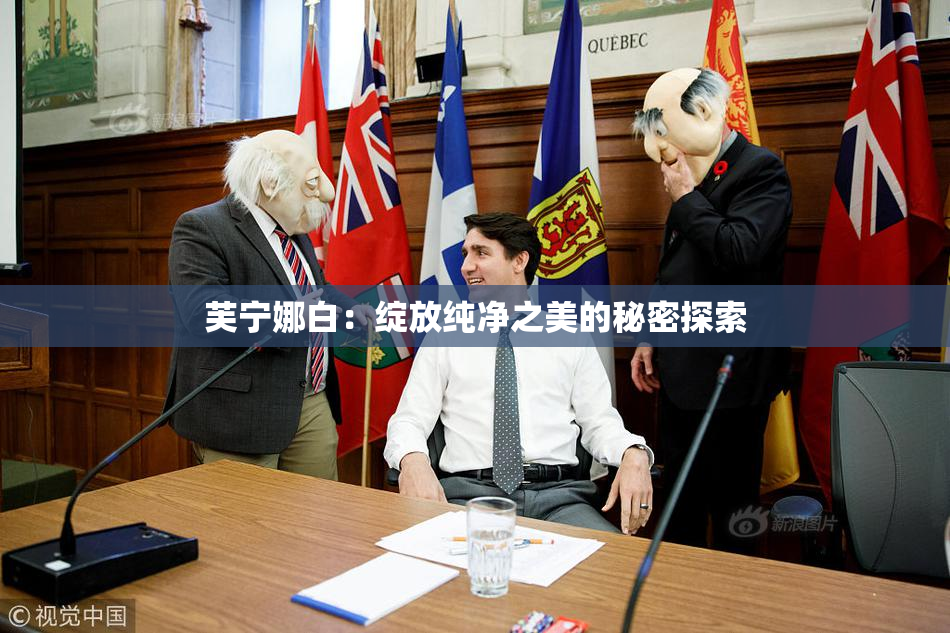 芙宁娜白：绽放纯净之美的秘密探索
