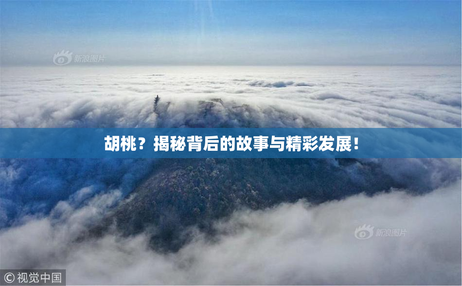 胡桃？揭秘背后的故事与精彩发展！