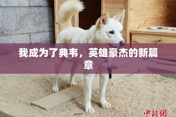 我成为了典韦，英雄豪杰的新篇章