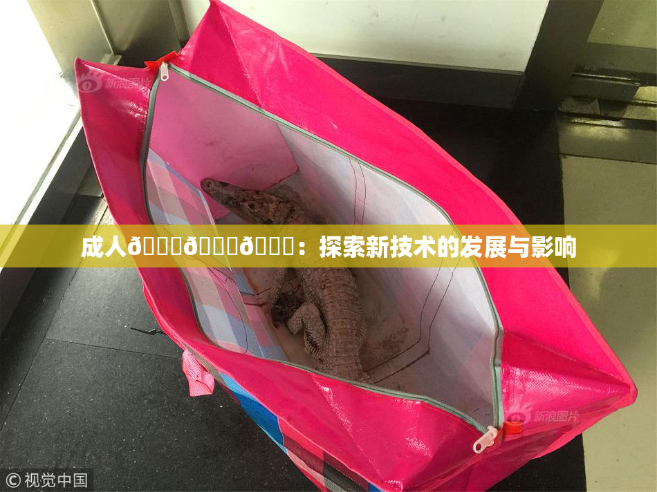 成人🍆🍑🔞：探索新技术的发展与影响