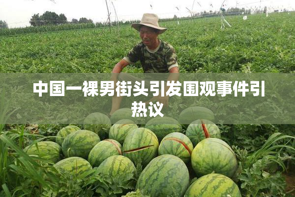 中国一裸男街头引发围观事件引热议