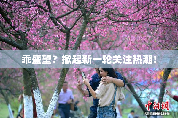 乖盛望？掀起新一轮关注热潮！
