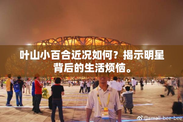 叶山小百合近况如何？揭示明星背后的生活烦恼。