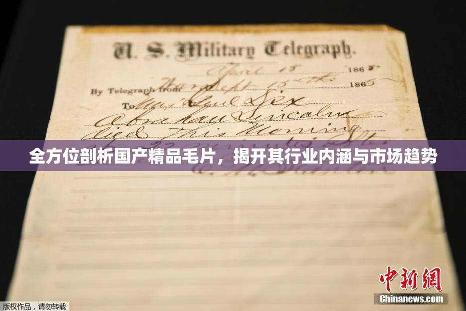 全方位剖析国产精品毛片，揭开其行业内涵与市场趋势
