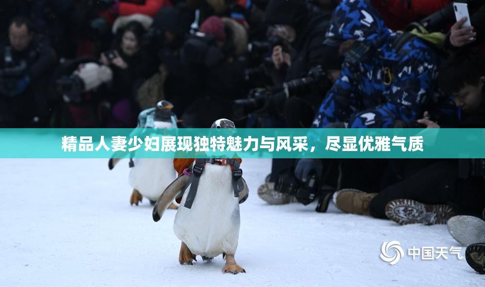 精品人妻少妇展现独特魅力与风采，尽显优雅气质