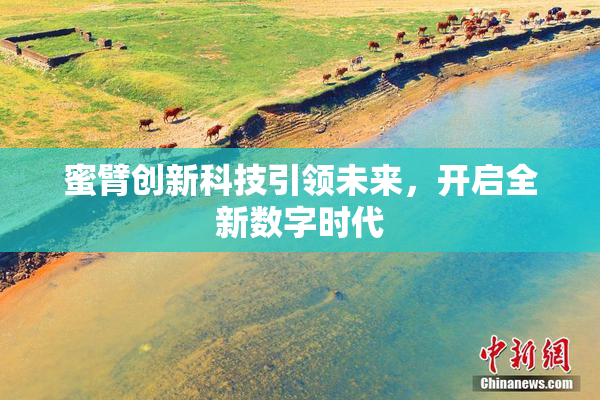 蜜臂创新科技引领未来，开启全新数字时代