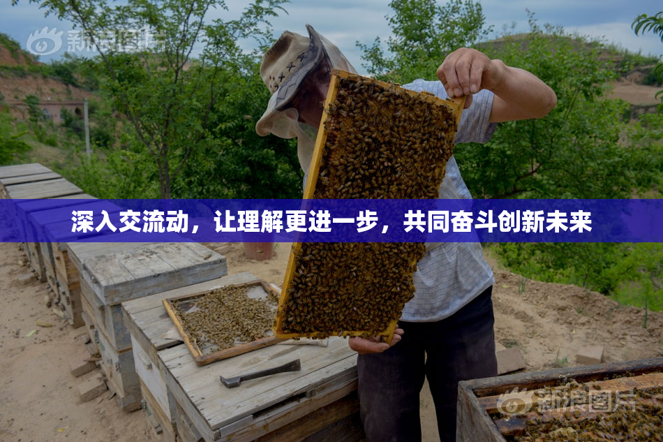 深入交流动，让理解更进一步，共同奋斗创新未来