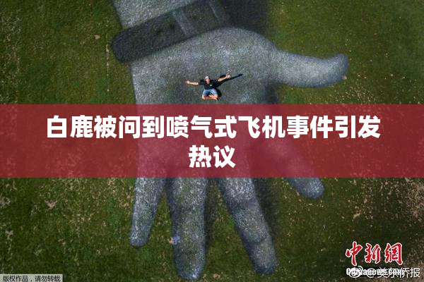 白鹿被问到喷气式飞机事件引发热议