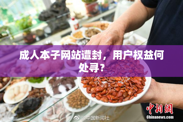 成人本子网站遭封，用户权益何处寻？