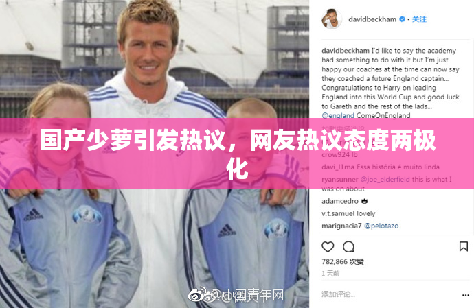 国产少萝引发热议，网友热议态度两极化
