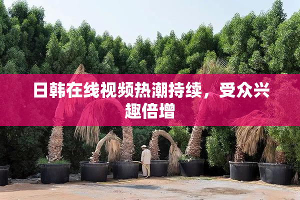 日韩在线视频热潮持续，受众兴趣倍增