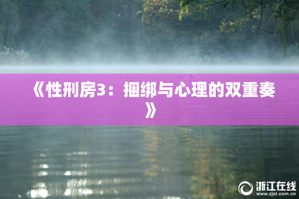 《性刑房3：捆绑与心理的双重奏》