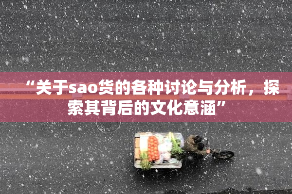 “关于sao货的各种讨论与分析，探索其背后的文化意涵”