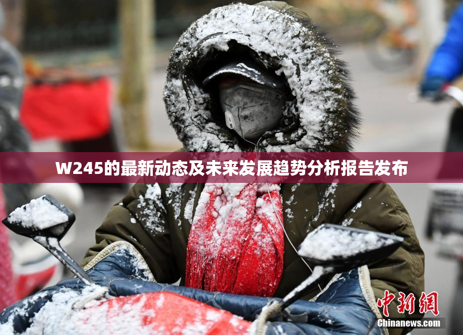 W245的最新动态及未来发展趋势分析报告发布