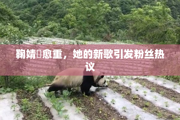 鞠婧祎愈重，她的新歌引发粉丝热议