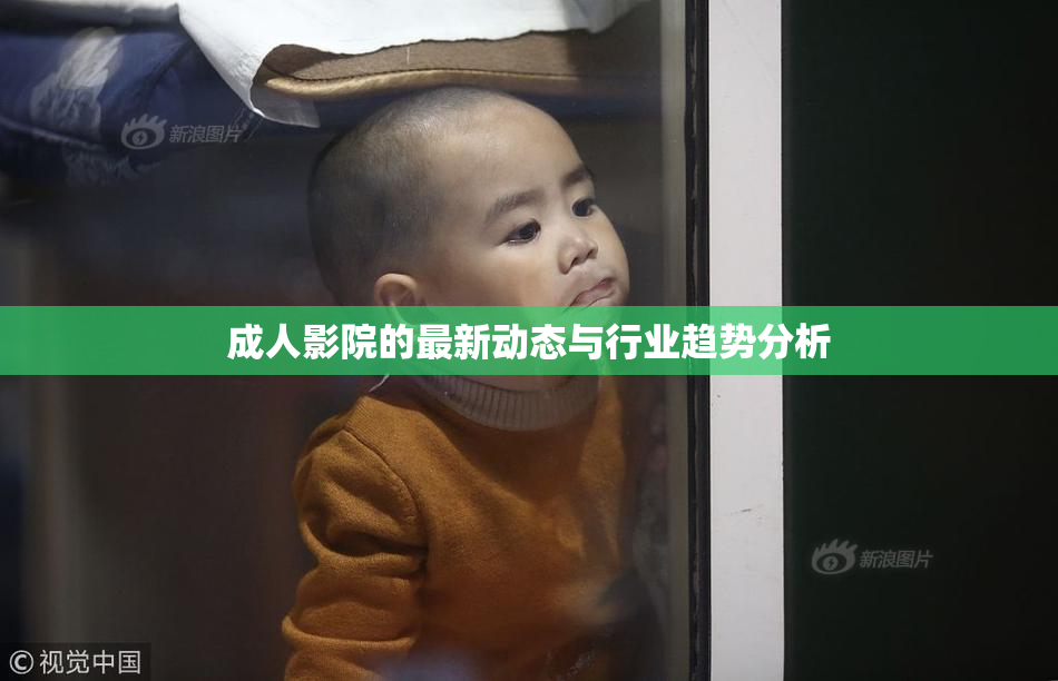 成人影院的最新动态与行业趋势分析