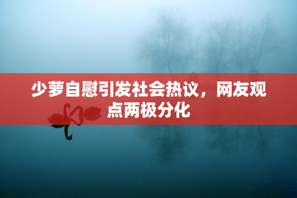 少萝自慰引发社会热议，网友观点两极分化