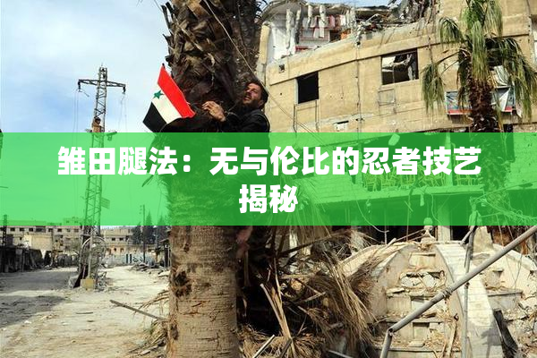 雏田腿法：无与伦比的忍者技艺揭秘