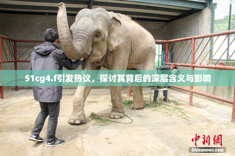 51cg4.f引发热议，探讨其背后的深层含义与影响