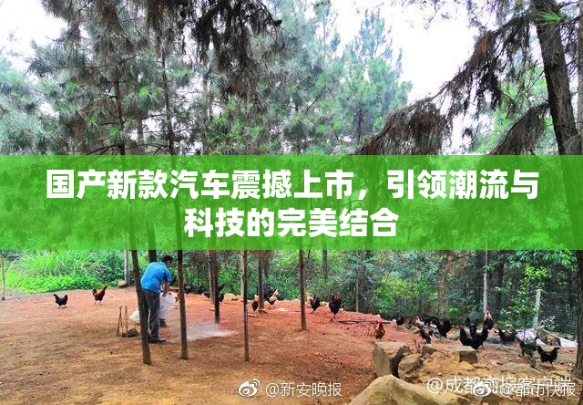 国产新款汽车震撼上市，引领潮流与科技的完美结合