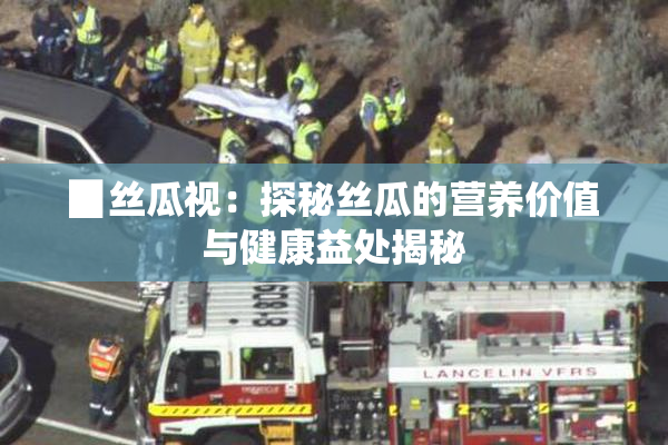 ▉丝瓜视：探秘丝瓜的营养价值与健康益处揭秘