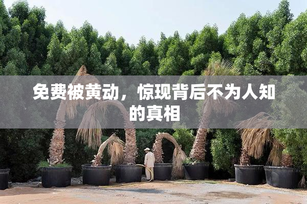 免费被黄动，惊现背后不为人知的真相