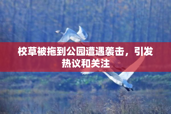 校草被拖到公园遭遇袭击，引发热议和关注