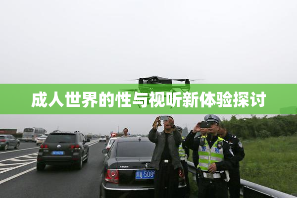 成人世界的性与视听新体验探讨