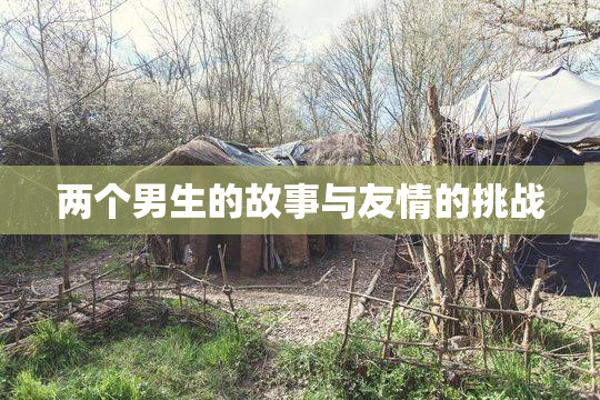两个男生的故事与友情的挑战