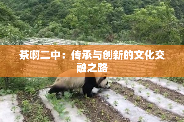 茶啊二中：传承与创新的文化交融之路