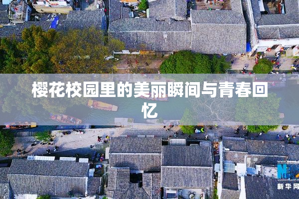 樱花校园里的美丽瞬间与青春回忆