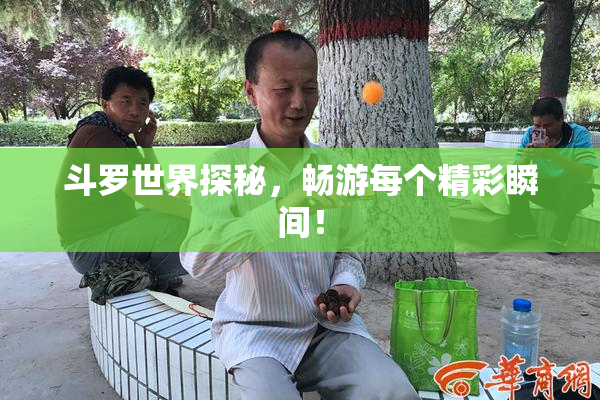 斗罗世界探秘，畅游每个精彩瞬间！