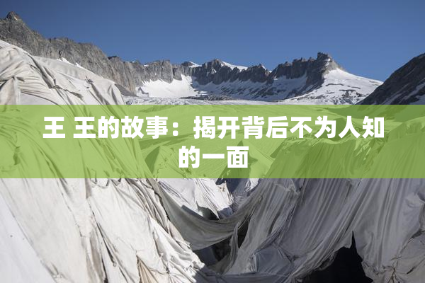 王 王的故事：揭开背后不为人知的一面