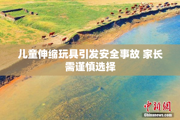 儿童伸缩玩具引发安全事故 家长需谨慎选择