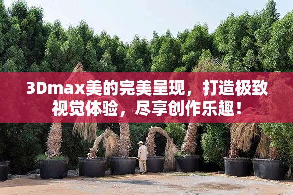 3Dmax美的完美呈现，打造极致视觉体验，尽享创作乐趣！