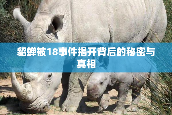 貂蝉被18事件揭开背后的秘密与真相