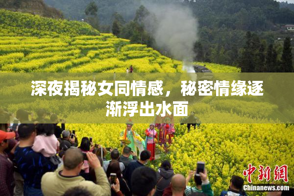 深夜揭秘女同情感，秘密情缘逐渐浮出水面