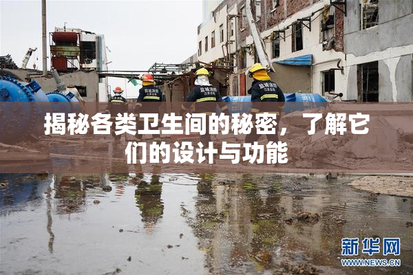 揭秘各类卫生间的秘密，了解它们的设计与功能